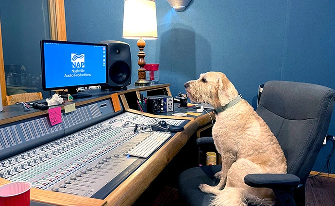 Fluffy dog on Nashville Audio Production Studio